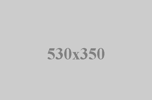 Integer tincidunt.