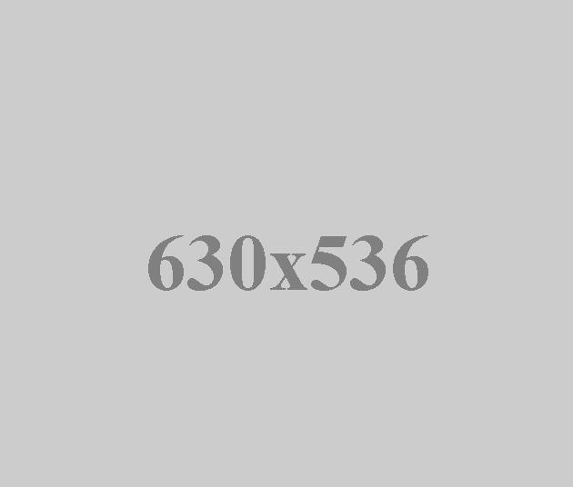 Integer tincidunt.